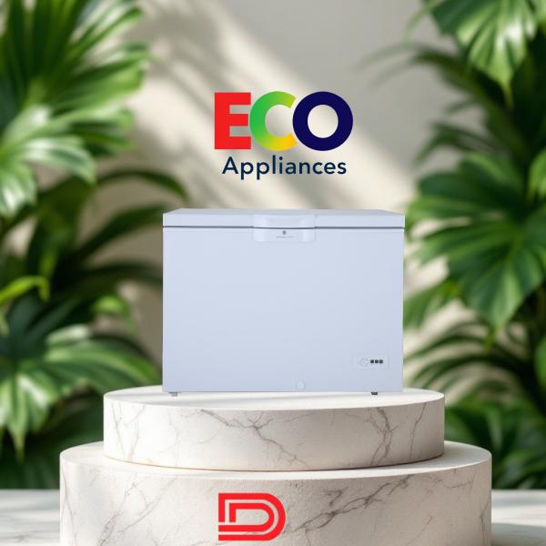 Deep Freezer 300 Inverter