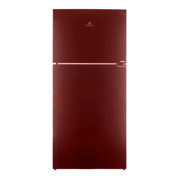 9193 Large Freezer Glass Door Inverter