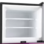 9169 Large Freezer Glass Door Inverter