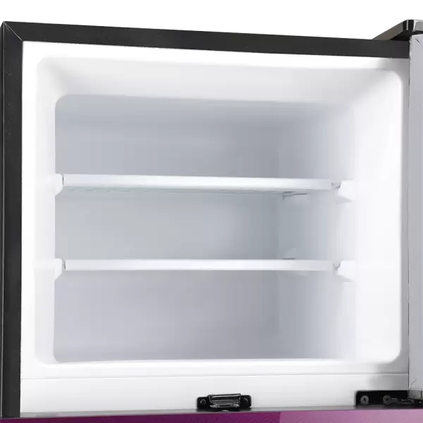 9169 Large Freezer Glass Door Inverter