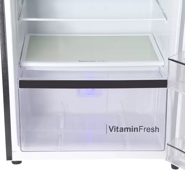 9178 Large Freezer Glass Door Inverter