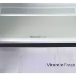 9178 Large Freezer Glass Door Inverter