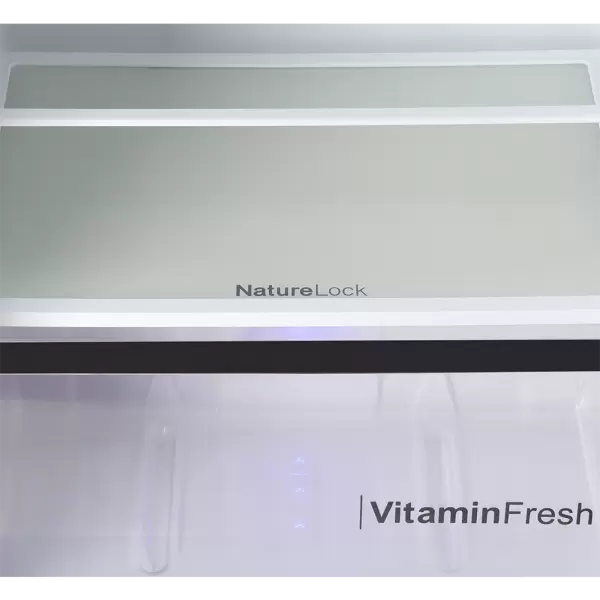 9178 Large Freezer Glass Door Inverter