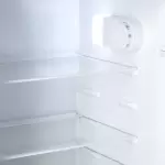 9178 Large Freezer Glass Door Inverter