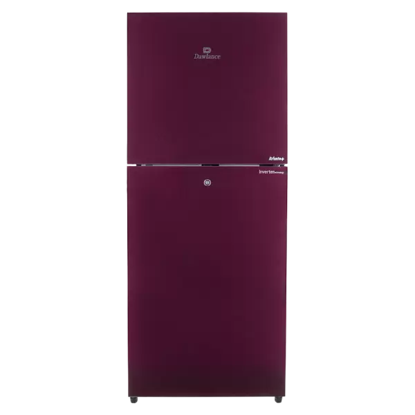 9160 Large Freezer Glass Door Inverter
